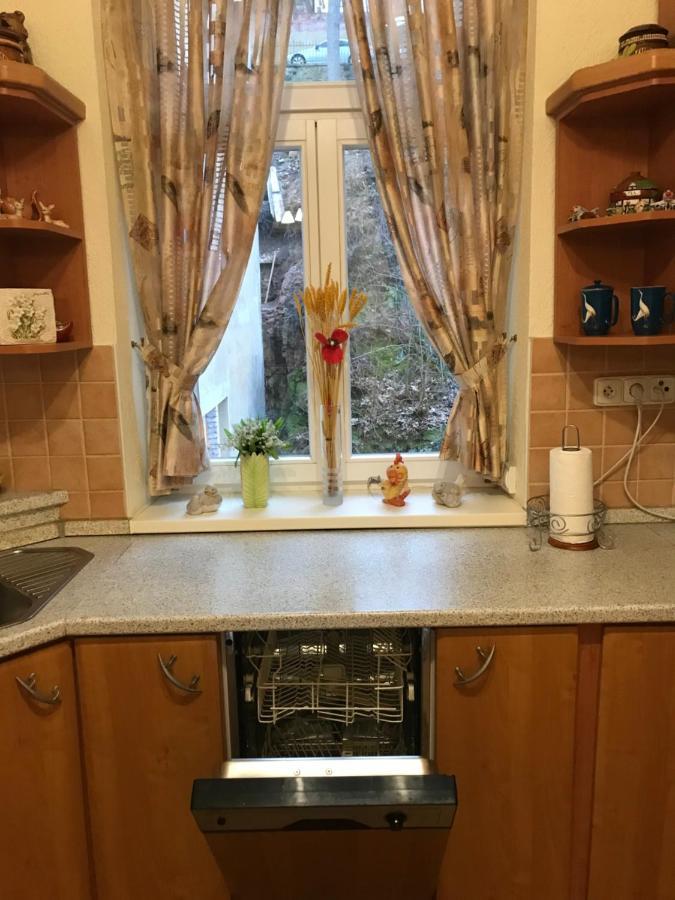 Apartman Na Zahradni Karlovy Vary Dış mekan fotoğraf
